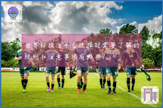 世界杯投注平台选择时需要了解的规则和注意事项有哪些？