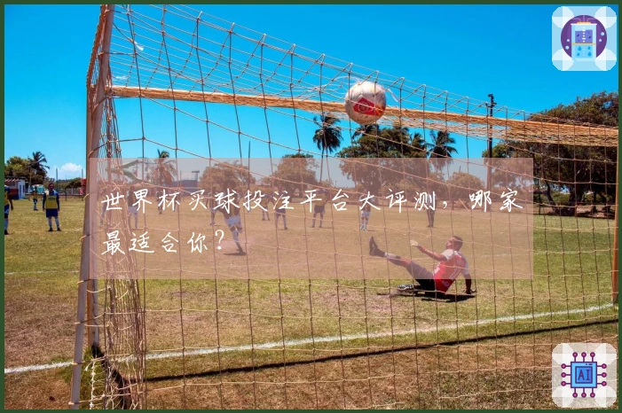 世界杯买球投注平台大评测，哪家最适合你？