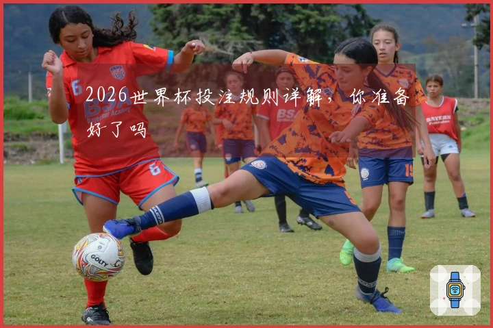 2026世界杯投注规则详解，你准备好了吗